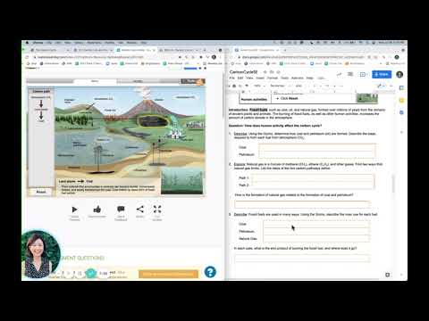 Gizmo Carbon Cycle