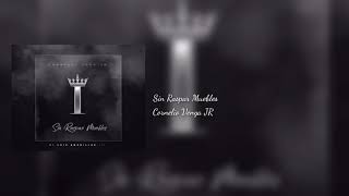 Sin raspar muebles - Cornelio Vega JR (Audio original HQ)