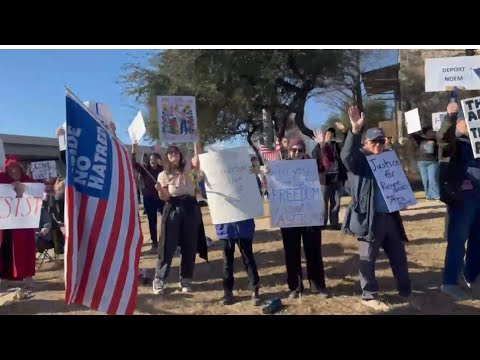 An Unexpected Gathering During a Quiet Sunday Afternoon in Central Texas.