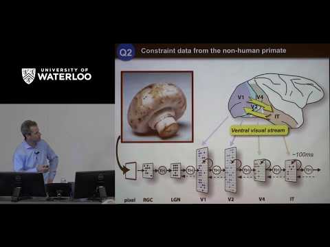 Waterloo Brain Day Lectures 2017 - James DiCarlo (Massachusetts Institute of Technology)