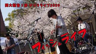 フィッシュライフ / 関大軽音Ⅰ部-ゲリラライブ2026