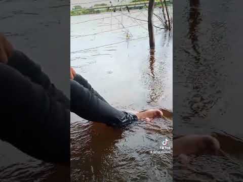 #apure #venezuela #rio #achaguas