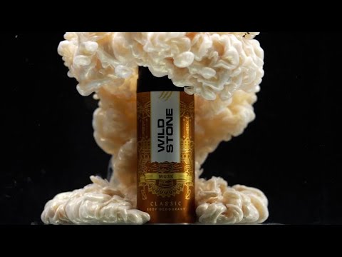 New Wild Stone Classic Musk for Sensual Masculine Timelessness - Deo for Men