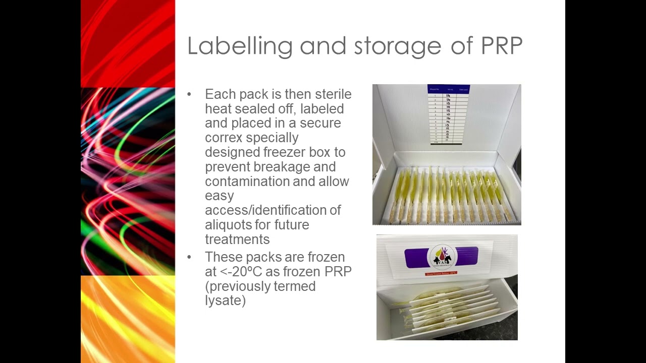 Autologous Platelet Rich Plasma Collection by Apheresis & Administration into Bilateral Stifles