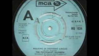 The Peppermint Rainbow - Walking In Different Circles