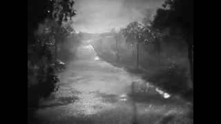 Nights Amore - The Path of Irreversible Scars