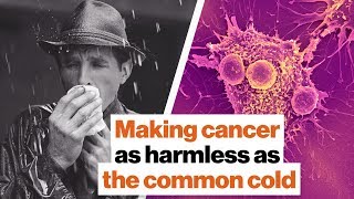Making cancer as harmless as the common cold | Michio Kaku