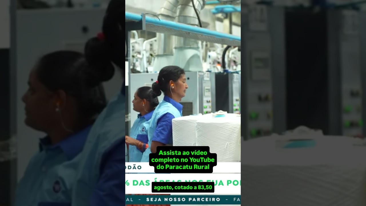 Algodão - 30% das Áreas nos EUA podem ser Abandonadas