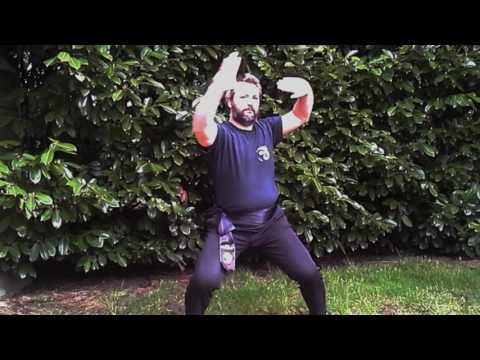 Praying Mantis   Stationary Gao Lao Cai in Horse Stance