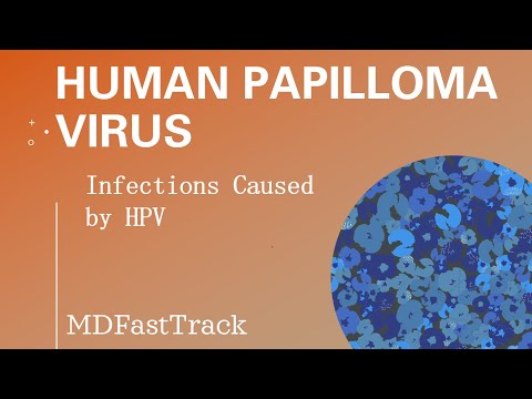 Emberi papillomavírus kapcsolódik a rákhoz