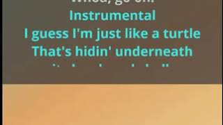 Janis Joplin -Turtle blues. Karaoke