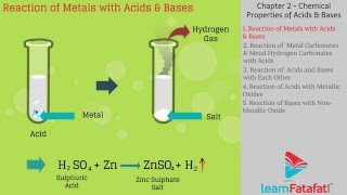 Acid Bases and Salts Class 10 Science CBSE - Chemical Properties of Acids and Bases