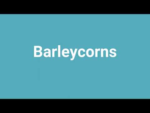 'Barleycorns' Meaning and Pronunciation