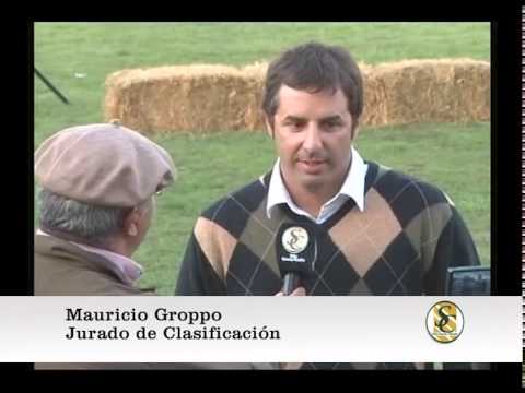 14-05-15 Nota a Mauricio Groppo ( Jurado de Clasificación ) - Bolivar