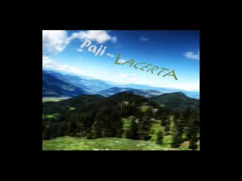 Paji -  Lacerta Original Mix (WINDO)