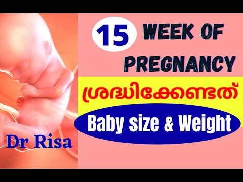 Pregnancy Week by Week Malayalam | 15 Week Pregnant Malayalam