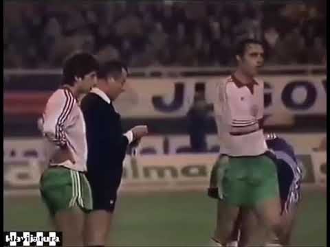 Mladen Delić: Ne sam, Safete!