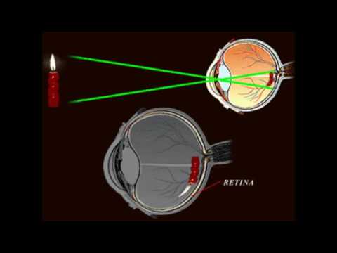L'OCCHIO E LA VISIONE