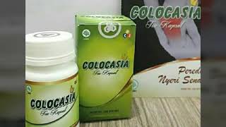 Download lagu Colocasia Surabaya | Harga Colocasia Obat Kesehatan  | 085217165074 mp3