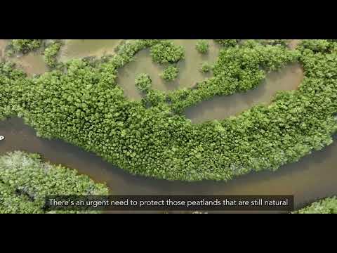 Watch Episode 8: Michael Netzer on Conservation and Restoration of Peatlands on YouTube