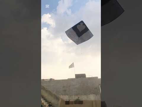 Black kite loot lia🔥❤️#kite #kiteflying #monokitefighter #rajafamily ##viralvideo #ytviral