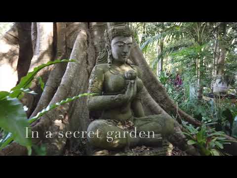 Sanctuary in The Pocket