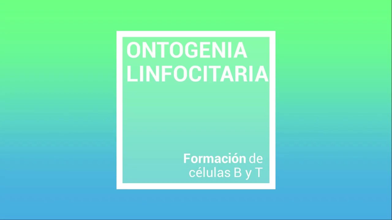 Conceptos a la inmunología humana - Clase 9: Linfocitos ontogenia B y T