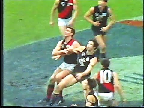 1991 Rnd 22 Essendon v Carlton