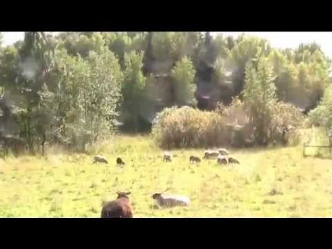 Näin kävi tälläkertaa