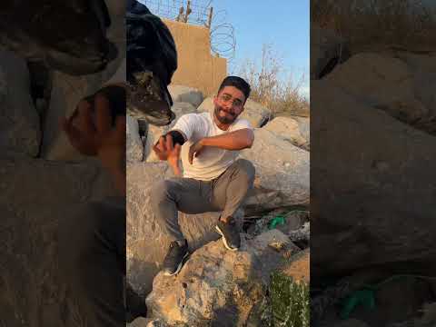 مارد البحر 😂🤣