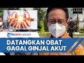 4 pasien gangguan ginjal respons positif pada obat antidotum menkes bakal datangkan dari singapura