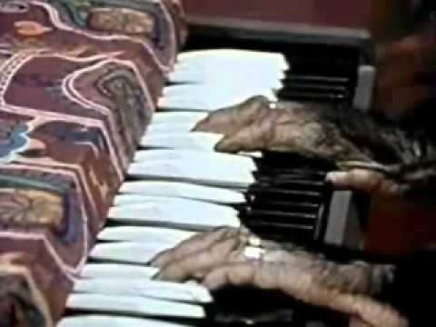 The Evolution Revolution