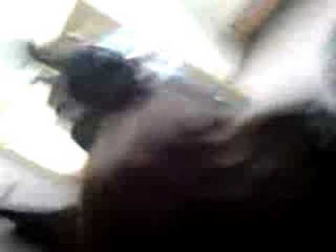 das kommt raus wenn man vor neigungskurs die kammera anmacht