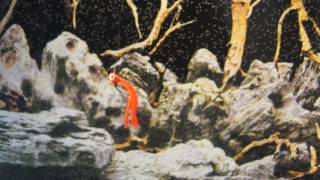 EUROTACKLE MICRO FINESSE   TRIFECTA