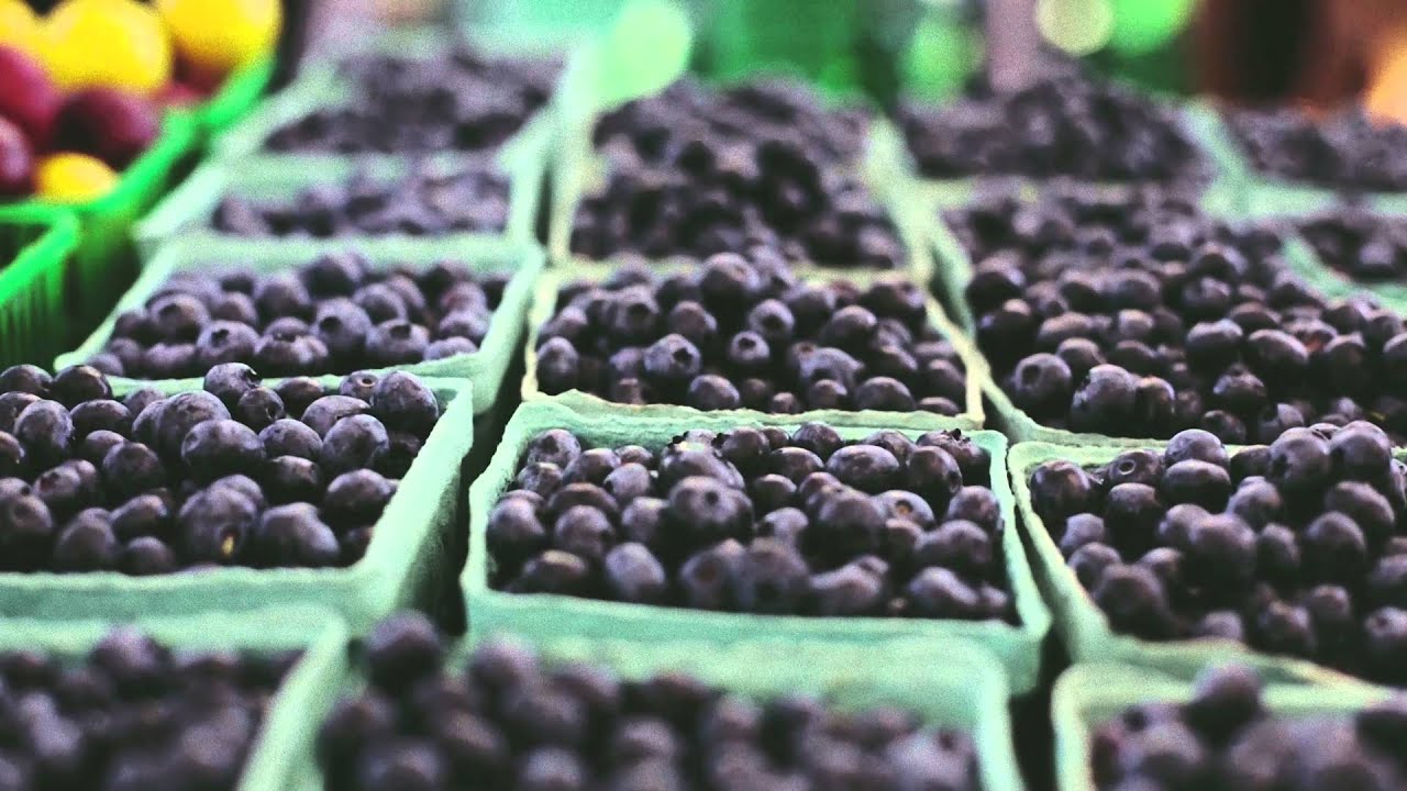 Shop CSA Toronto | Local CSA Farm Share and Delivery | Forsyth Family Farms