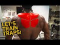 TRAINING TRAPS WITH ULISSES