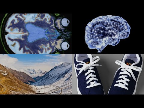 Treating Traces of Trauma, Why Your Shoes Are Untied, and More: 60 Second Science Podcasts
