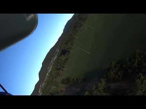 hobbyking-avios-bushmule-rc