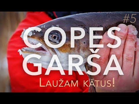 Copes Garša #5 - Laši, Taimiņi. Laužam kātus!