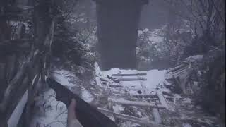 BIOHAZARD VILLAGE　(3)