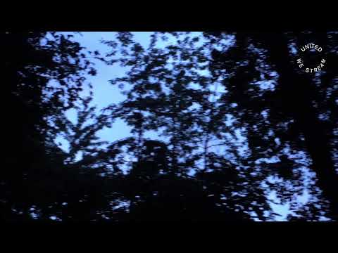 United We Stream | Spacejournal Open Air | Freiburg