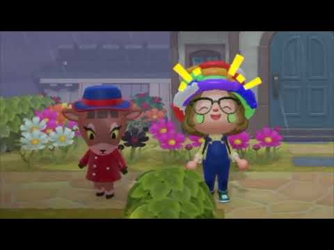 an animal's life part 28 - Pashmina Runs For Her Life.