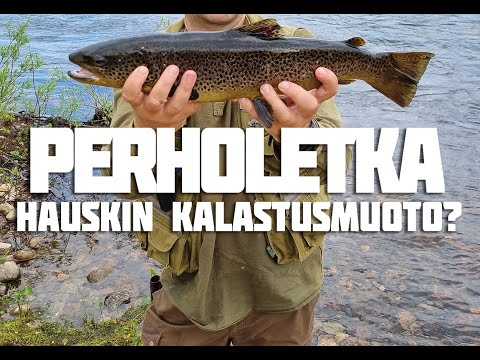 Perholetkan sidonta - Kalastusta perholla osa 1