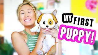 FINALLY GETTING A PUPPY