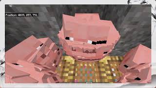 the infinity pig&#39;s