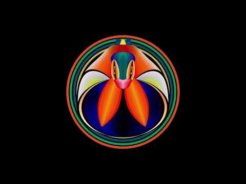 PREMIERE: SNYL - Ego Tripping [Sincopat]