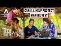 This AI App Pays Locals To Conserve Mangroves In The Philippines Tech To Save The World