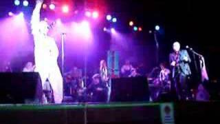 BONZO DOG DOO-DAH BAND - TROUSER PRESS LIVE 2006!!!