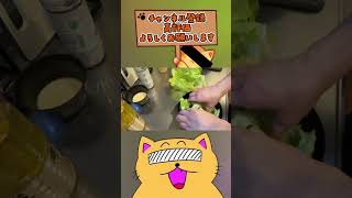 #ゲーム実況 #Nyankorasu #絶叫 #断末魔 #FPS #実況 #ゲーム #ホラー #実写 #料理 #ニャンコラス