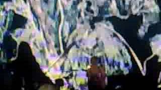 פול מקארטני בישראל - בלקבירד